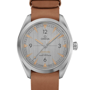 Omega Seamaster 40mm 22012402006001