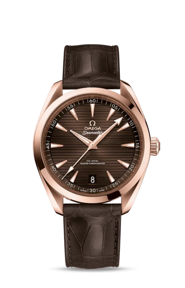 Omega Seamaster 41mm 22053412113001