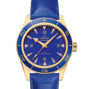 Omega Seamaster 41mm 23463412199002