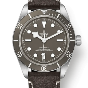 Tudor Black Bay 58 39mm m79010sg-0001