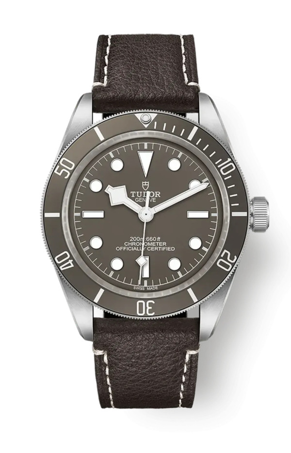 Tudor Black Bay 58 39mm m79010sg-0001