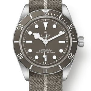 Tudor Black Bay 58 39mm m79010sg-0002