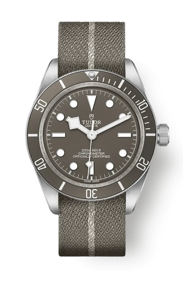 Tudor Black Bay 58 39mm m79010sg-0002