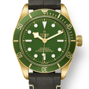 Tudor Black Bay 58 39mm m79018v-0001