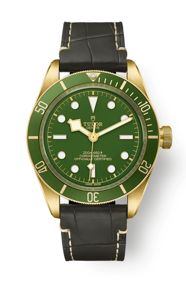 Tudor Black Bay 58 39mm m79018v-0001