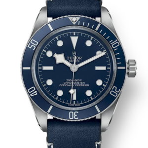 Tudor Black Bay 58 39mm m79030b-0002