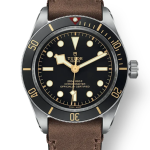 Tudor Black Bay 58 39mm m79030n-0002