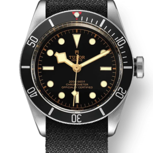 Tudor Black Bay 41mm m79230n-0005