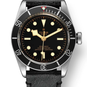 Tudor Black Bay 41mm m79230n-0008