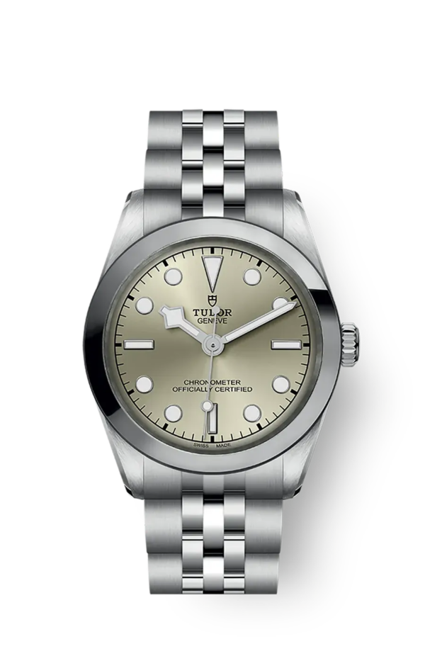 Tudor Black Bay 31 36 39 41 31mm m79600-0003