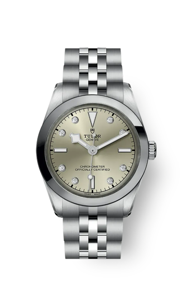 Tudor Black Bay 31 36 39 41 31mm m79600-0006