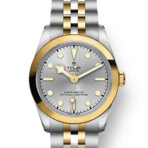Tudor Black Bay 31 36 39 41 31mm m79603-0002