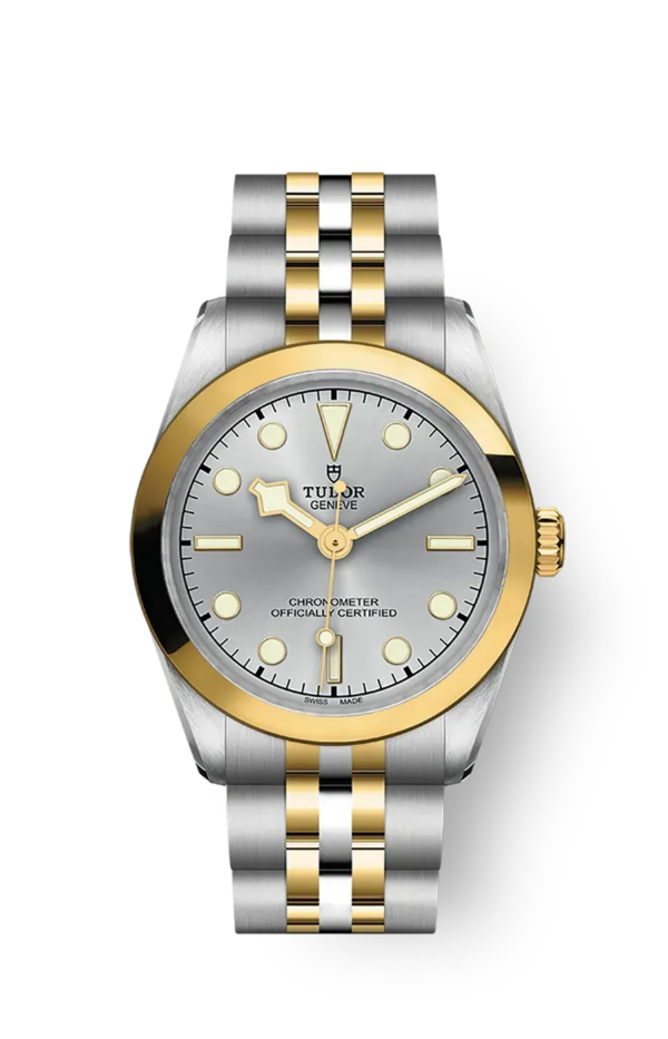 Tudor Black Bay 31 36 39 41 31mm m79603-0002