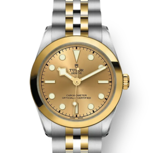 Tudor Black Bay 31 36 39 41 31mm m79603-0005