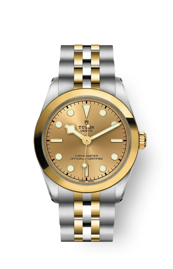 Tudor Black Bay 31 36 39 41 31mm m79603-0005