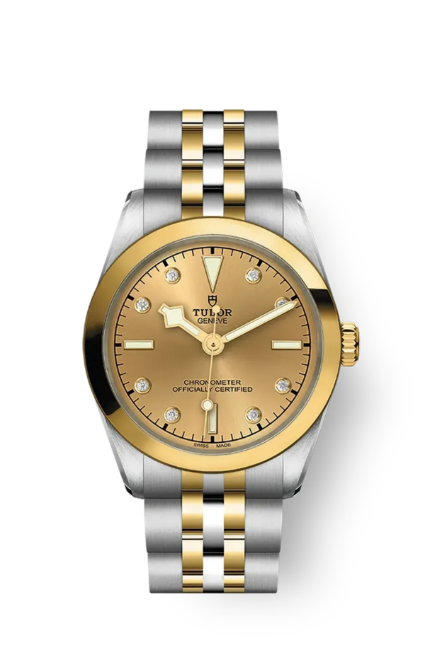 Tudor Black Bay 31 36 39 41 31mm m79603-0008