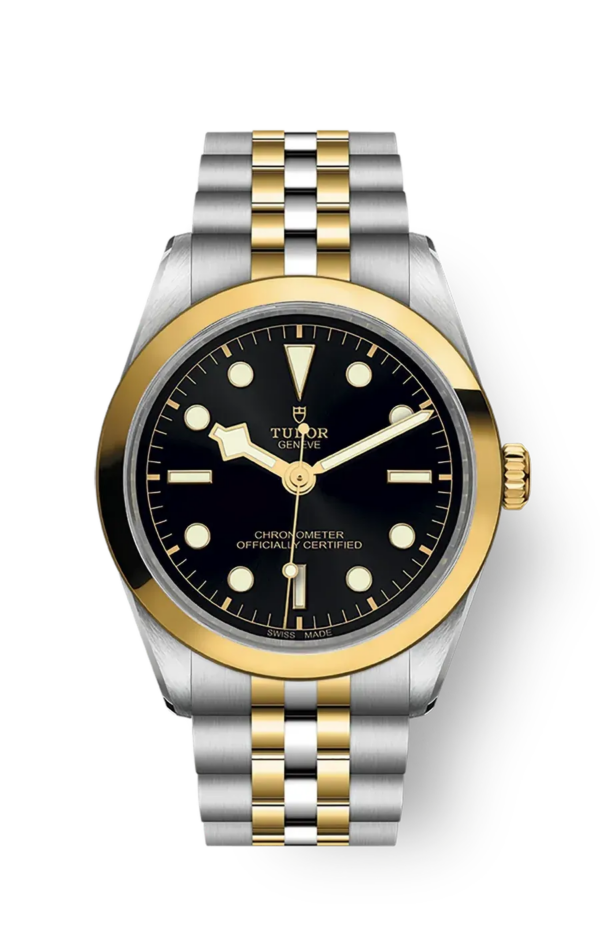 Tudor Black Bay 31 36 39 41 36mm m79643-0001