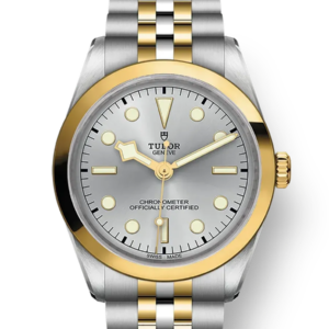 Tudor Black Bay 31 36 39 41 36mm m79643-0002