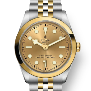 Tudor Black Bay 31 36 39 41 36mm m79643-0005
