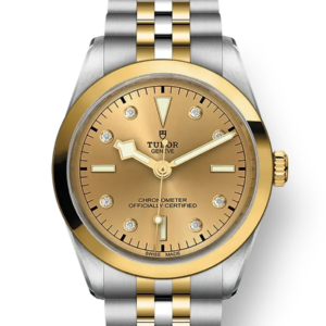 Tudor Black Bay 31 36 39 41 36mm m79643-0008
