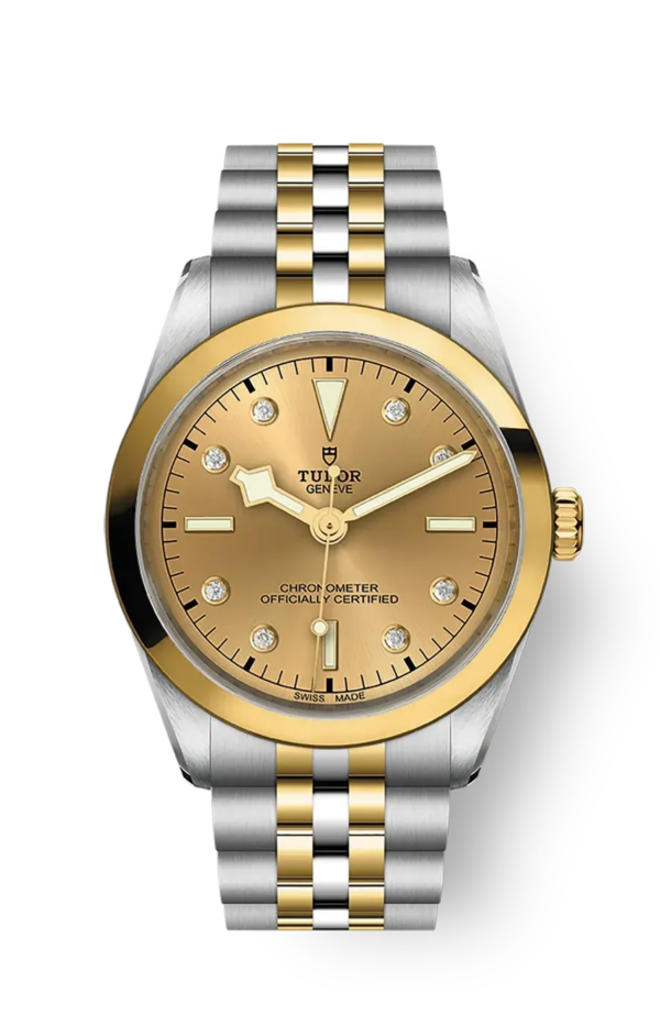 Tudor Black Bay 31 36 39 41 36mm m79643-0008