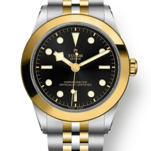 Tudor Black Bay 31 36 39 41 39mm m79663-0001
