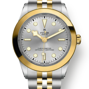 Tudor Black Bay 31 36 39 41 39mm m79663-0002