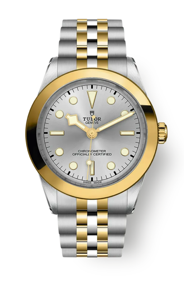 Tudor Black Bay 31 36 39 41 39mm m79663-0002