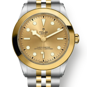 Tudor Black Bay 31 36 39 41 39mm m79663-0005