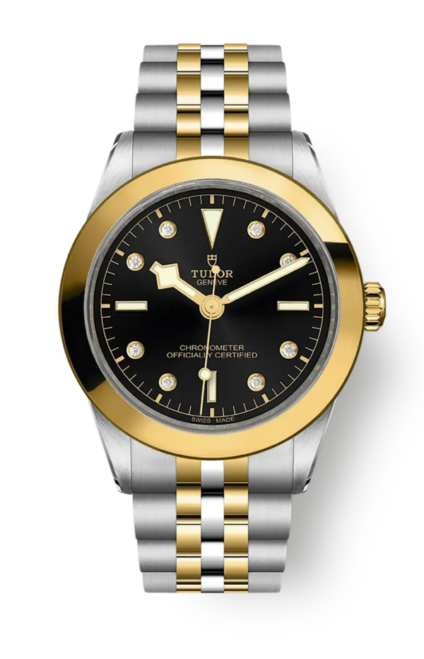 Tudor Black Bay 31 36 39 41 39mm m79663-0006