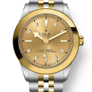 Tudor Black Bay 31 36 39 41 39mm m79663-0008