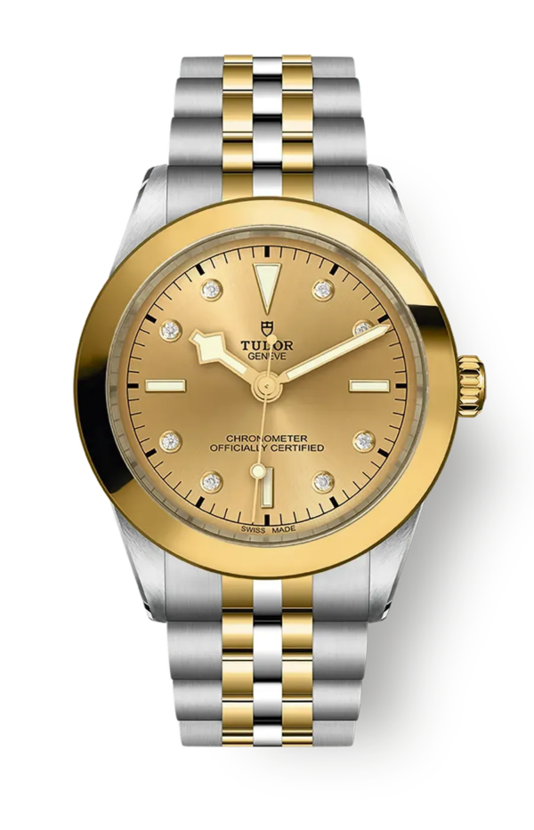 Tudor Black Bay 31 36 39 41 39mm m79663-0008