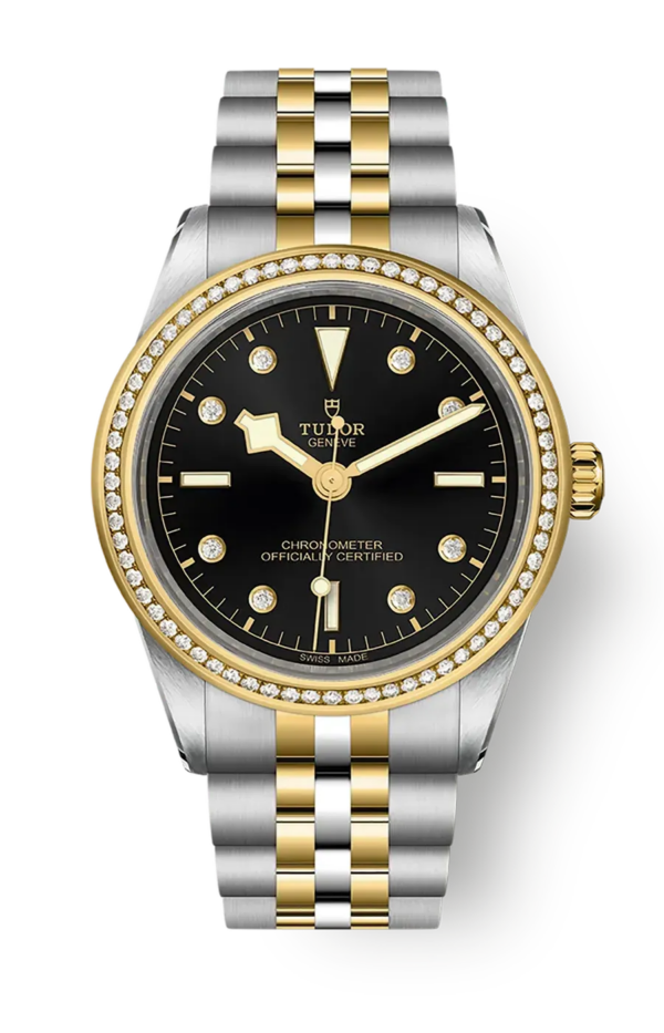 Tudor Black Bay 31 36 39 41 39mm m79673-0005