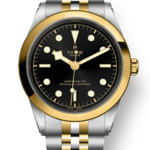Tudor Black Bay 31 36 39 41 41mm m79683-0001