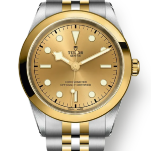 Tudor Black Bay 31 36 39 41 41mm m79683-0005