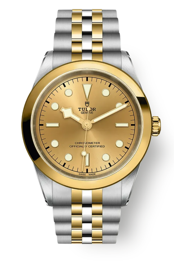 Tudor Black Bay 31 36 39 41 41mm m79683-0005