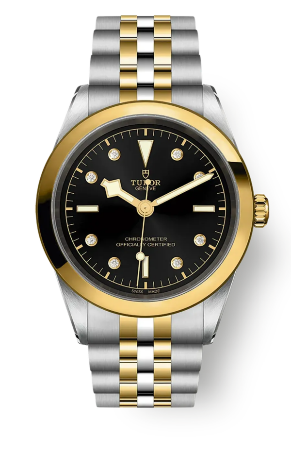 Tudor Black Bay 31 36 39 41 41mm m79683-0006