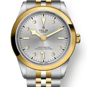 Tudor Black Bay 31 36 39 41 41mm m79683-0007