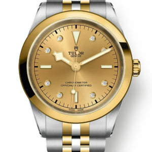 Tudor Black Bay 31 36 39 41 41mm m79683-0008