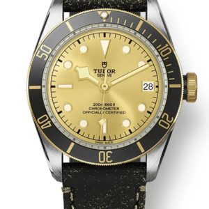 Tudor Black Bay 41mm m79733n-0003