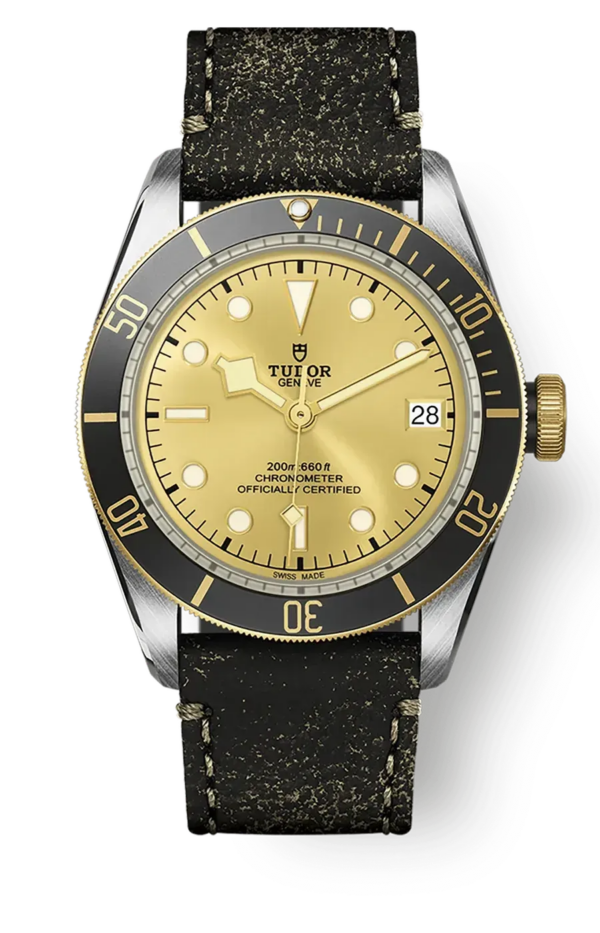 Tudor Black Bay 41mm m79733n-0003
