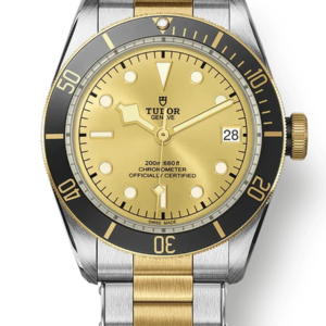 Tudor Black Bay 41mm m79733n-0004