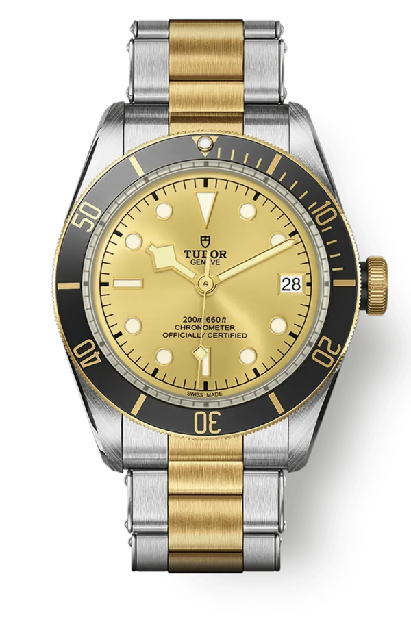 Tudor Black Bay 41mm m79733n-0004