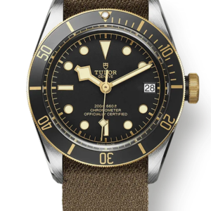 Tudor Black Bay 41mm m79733n-0005