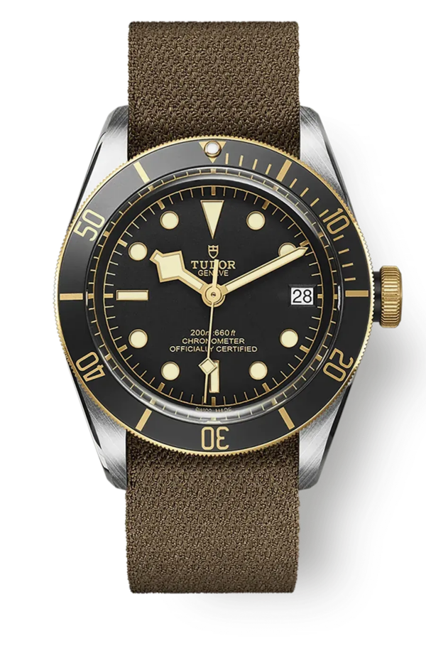 Tudor Black Bay 41mm m79733n-0005