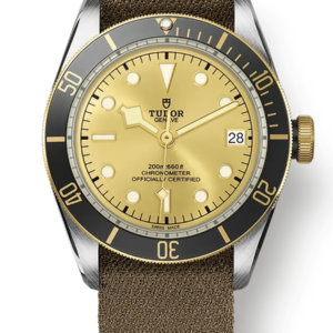 Tudor Black Bay 41mm m79733n-0006