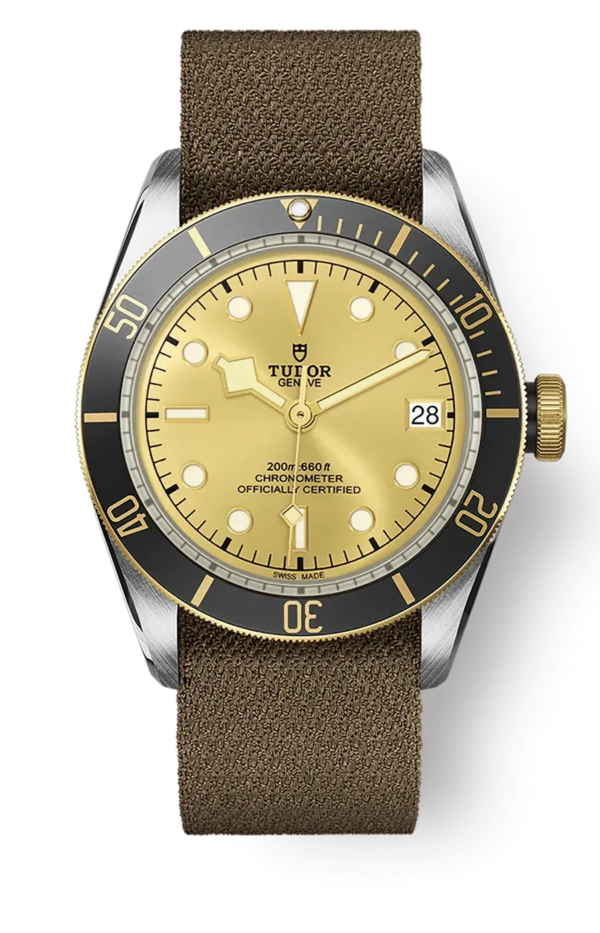 Tudor Black Bay 41mm m79733n-0006