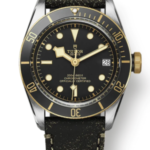 Tudor Black Bay 41mm m79733n-0007