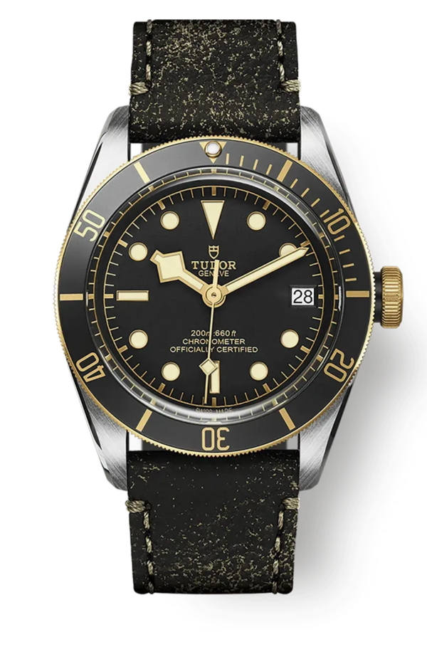 Tudor Black Bay 41mm m79733n-0007