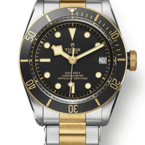 Tudor Black Bay 41mm m79733n-0008